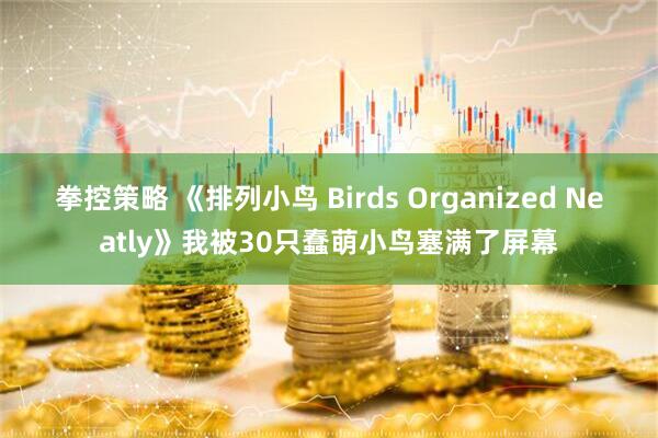 拳控策略 《排列小鸟 Birds Organized Neatly》我被30只蠢萌小鸟塞满了屏幕